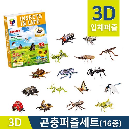 3D입체 곤충퍼즐세트(16종)R