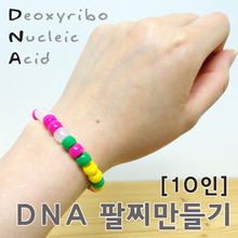 DNA팔찌만들기(10인)